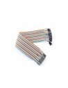 Dual male splittable jumper wires (300mm, 40 pins) (cable)