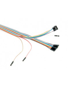 Dual female splittable jumper wires (100mm, 40 pins) (cable)