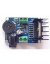 TDA7266 Amplifier Module Audio