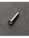 Bolt M2 x 10 Conical head zinc Torx steel PZ1